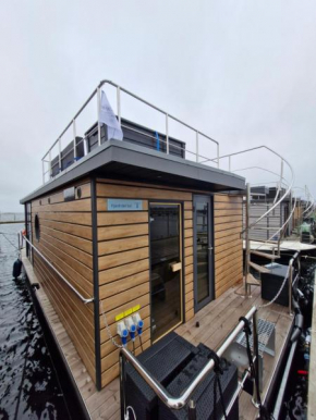 Hausboot Fjord del Sol Solarboot mit Biosauna in Wendtorf in Wendtorf